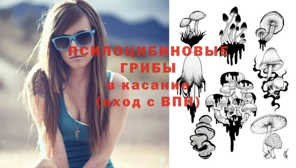 а пвп мука Абаза