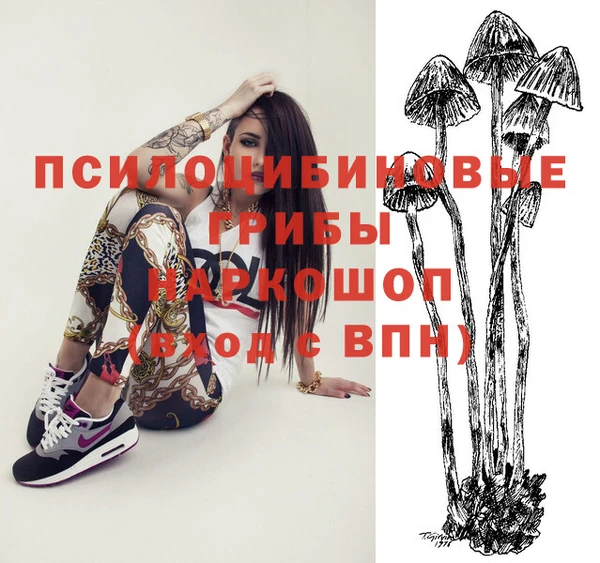 а пвп мука Абаза