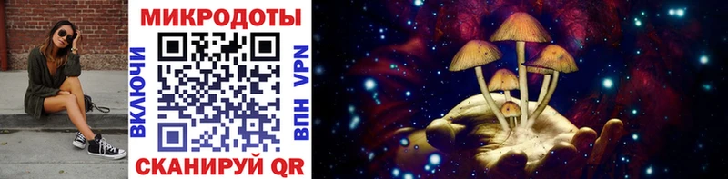 Псилоцибиновые грибы Cubensis  купить наркотик  Ильский 